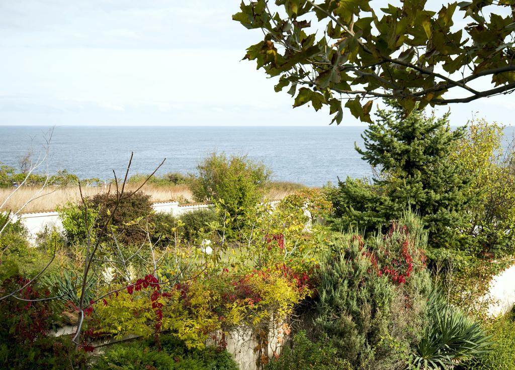 Art Provence House Villa Lozenets Eksteriør billede