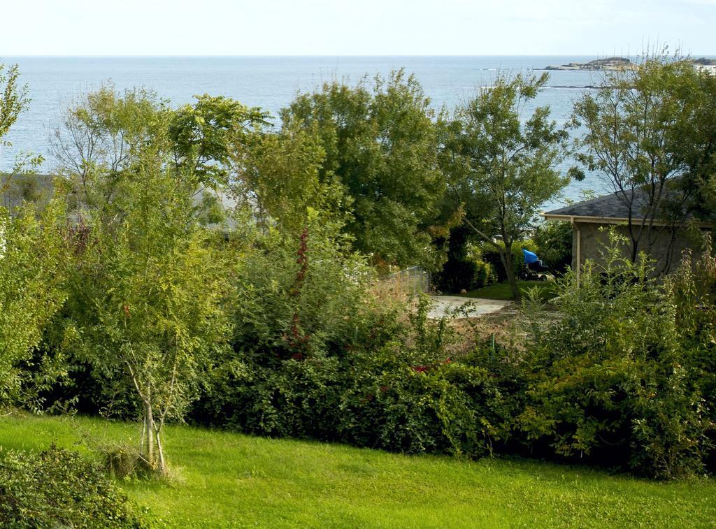 Art Provence House Villa Lozenets Eksteriør billede